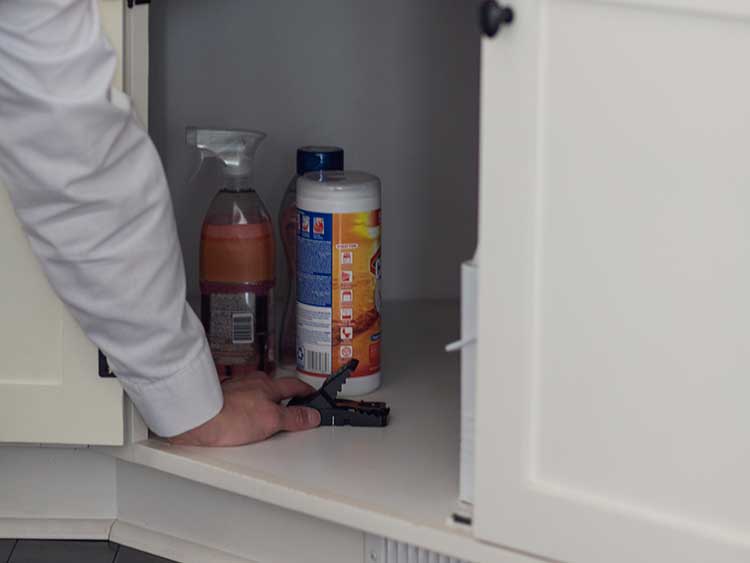 Technician using a mouse trap to do mice removal at a home in Camas, WA.