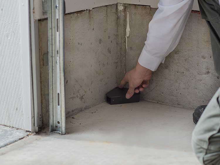 A service pro placing a small bait station for rodent removal in a garage in Vancouver, WA.