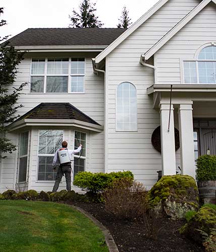 An exterminator spraying box elder bugs in the eaves of a home in Vancouver, WA