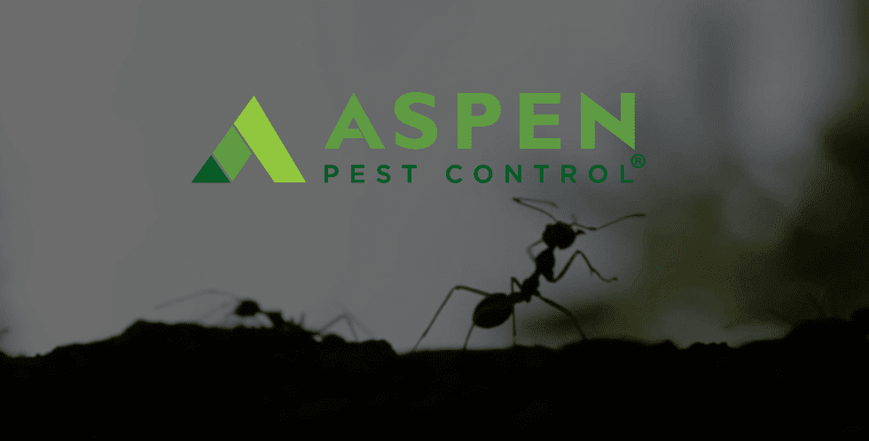 Aspen Pest Control | Pest Control Camas Vancouver WA ...