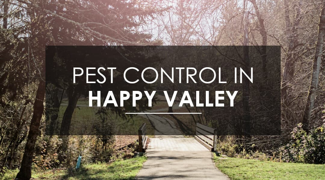 Happy Valley Extermination Services