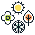 Are Sugar Ants Seasonal Icon Are Sugar Ants Seasonal Icon