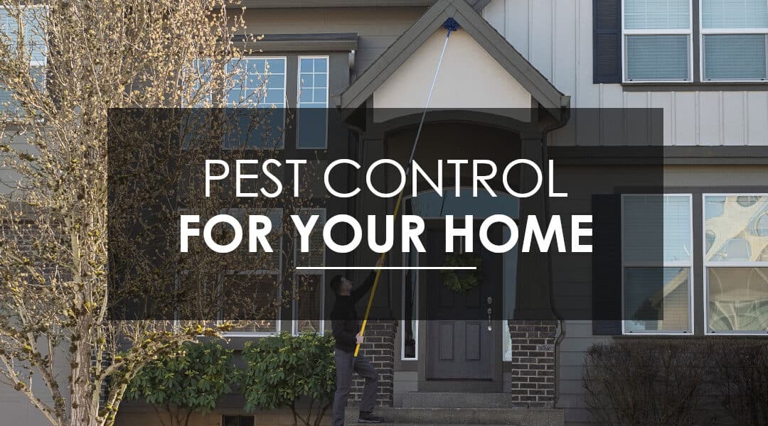 Why Should I Consider Quarterly Pest Control Service? Why regular, preventative pest control matters to residents of Vancouver, Camas, and Ridgefield
